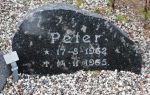 Peter    .JPG
